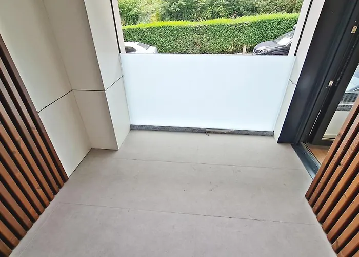 Br Silgar * 산신소